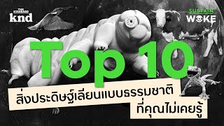 Top 10 สิ่งประดิษฐ์เลียนแบบธรรมชาติที่คุณคิดไม่ถึง | WOKE EP.4 #biomimicry