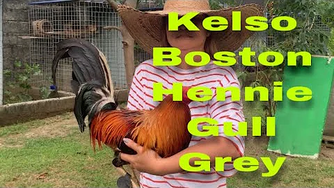 Kelso,Hennie,Bos...  ni Sheryl & Russell Wilson| s...