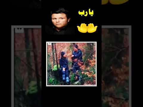 كل اتنين ع الحب حبايب محمد فؤاد نبضالعرب اكسبلور لايك ترند