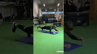 Contralateral Plank