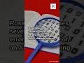 AI Writing Scandals Raise Questions Over Response