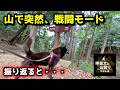 甲斐犬と一緒で、本当に良かったです【甲斐犬と山登り：今熊山編 序章】