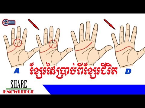 ខ្សែរបាតដៃរបស់អ្នកអាចប្រាប់ពីខ្សែរជីវិត និងលក្ខណៈរបស់អ្នកបាន