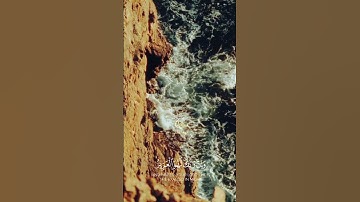فأنجيناه ومن معه في الفلك المشحون | مشهد يهز القلوب 🌊 #تلاوة_خاشعة #quran #القرآن #خشوع #تلاوة_مؤثرة