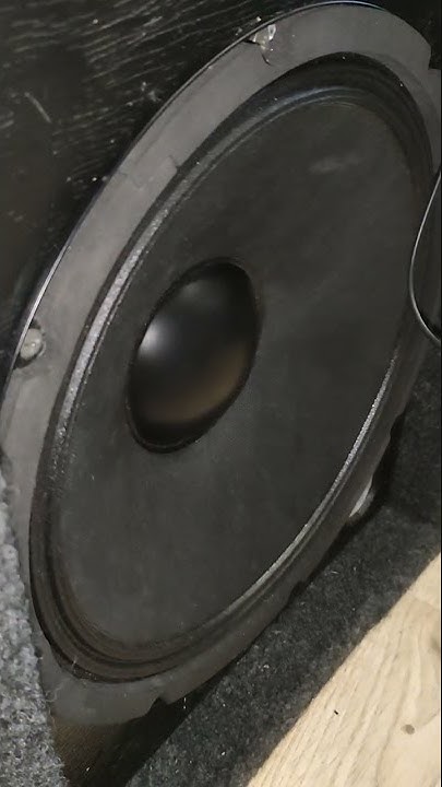 Soundking FB1201H - Эстрадный динамик. - YouTube