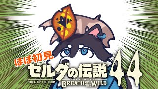 【はじめてのゼルダの伝説】＃44　町の中のコログはなにしてんだろね【BotW】