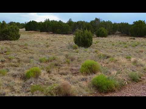 8483 Airport Drive, Show Low, AZ home video tour