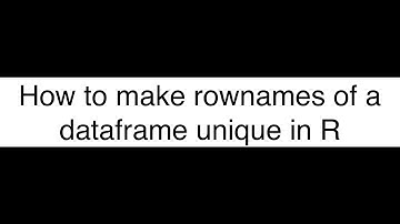 Mastering R: How to Make Duplicated Rownames Unique