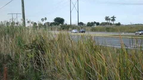 Acura RSX-S vs Chevy Cobalt SS