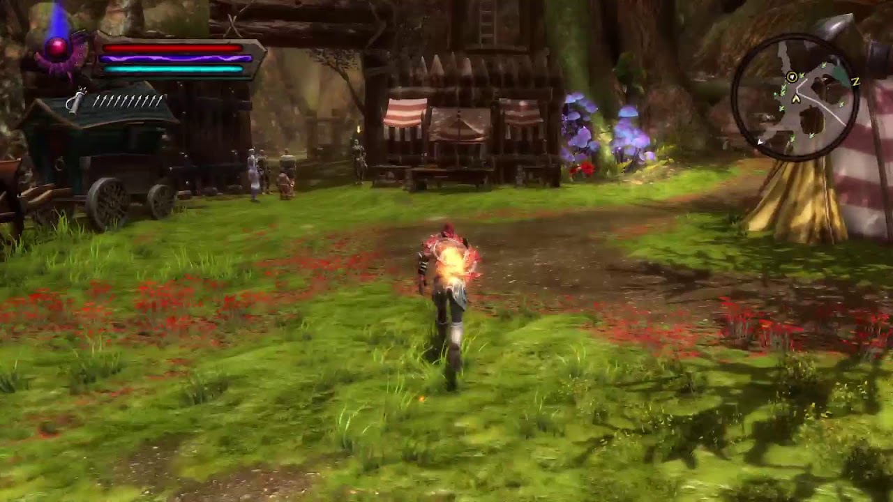 Kingdoms of Amalur: Re-Reckoning pt 58 DLC - YouTube