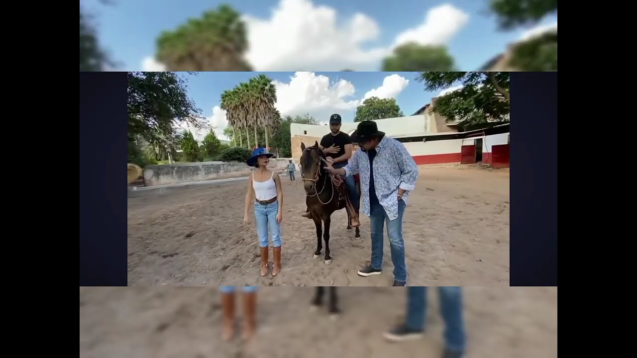 Le llegó a regalar  a Ángela un caballo don Vicente Fernández 