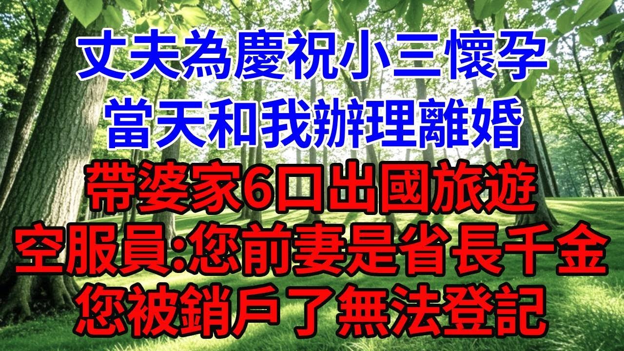 丈夫為慶祝小三懷孕，當天和我辦理離婚。帶婆家6口出國旅遊，空服員：您前妻是省長千金。你們是黑戶無法登記。#婆媳故事#為人處世#生活經驗#情感故事#故事#小說#戀愛#情感#婚姻