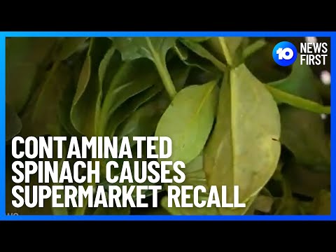 Contaminated Spinach Causes Supermarket Recall 10 News First
