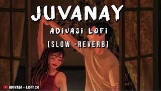 ADIVASI LO-FI SONG | A JUVANYA | ADIVASI SLOW AND REVERB SONG | ADIVASI NEW SONG| #adivasisong screenshot 4