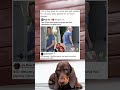 Ben Affleck Is Finally Happy (Without JLo) 🍔 #memes #funny #pets