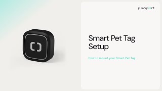 How to mount your Pawport Smart Pet Tag