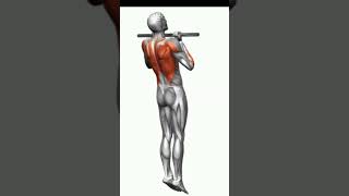 Pin on Men's  Health Exercise Gif #fitnessmotivation #workout #gym #fitness #bodybuilding
