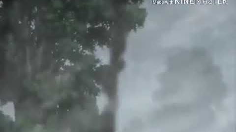 Attack on Titan [Amv] Into The Moat-Empty Shell