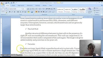 Microsoft Word (Screen Casting)