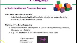 Ch 9 Part 1 Language