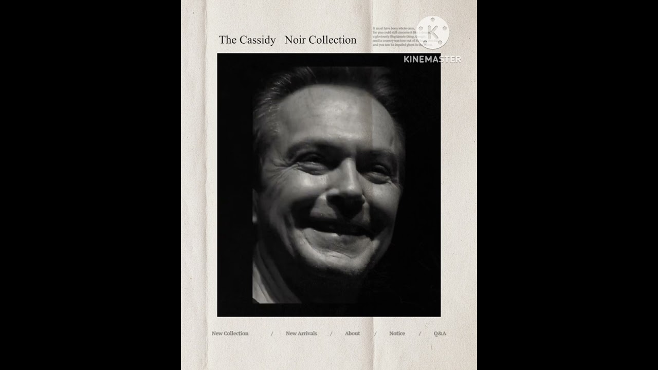 David Cassidy ~ The Cassidy Noir Collection 