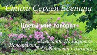 Озорной, непокорный… и другой Сергей Есенин «Цветы мне говоря…»