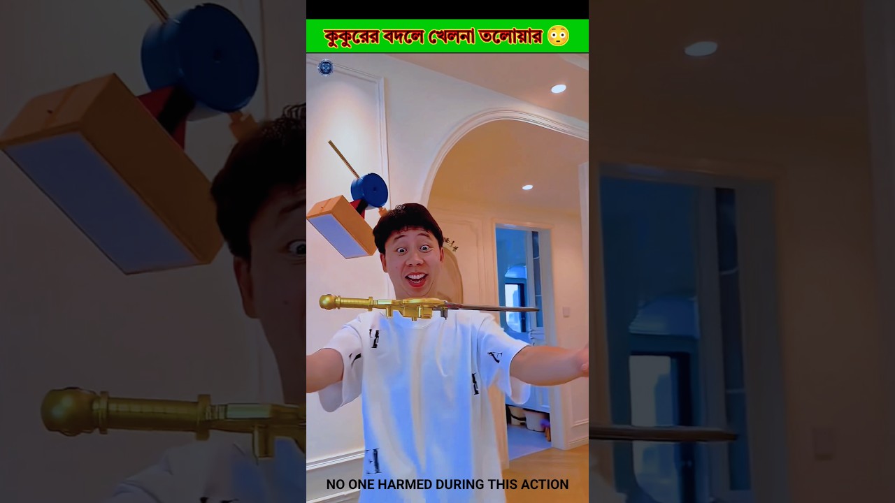 A toy sword instead of a dog 😳