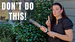 8 Things You Should NEVER Do in Your Fall Garden!