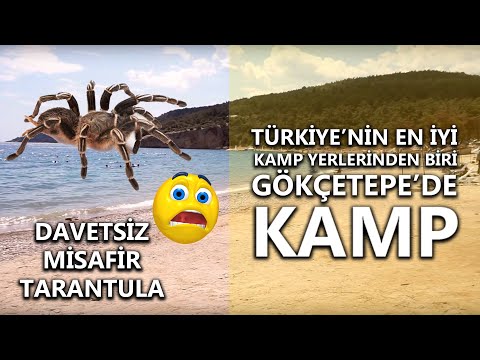 Gökçetepe Tabiat Parkı (En Iyi Kamp Yeri)