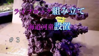 ミノカサゴ水槽#3 ライブロック組み立て編