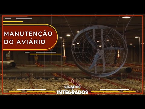 Como fazer uma manutenção adequada da ventilação da granja? | Ligados&Integrados - 05/09/2023