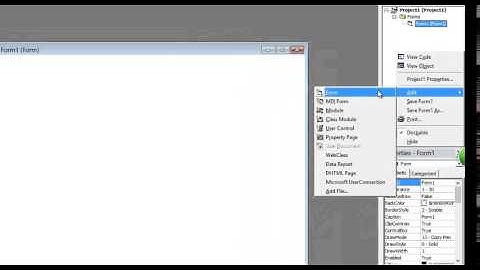 برنامج عارض الصور VB6