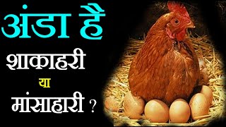 अंडा है शाकाहारी या मांसाहारी  II Egg is vegetarian or non-vegetarian