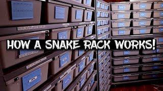 How a Snake Rack Works (How Tubs Are Heated, Thermostat Probe Placement, Backup Temperature Alarms)