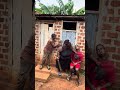 Mission impossible 🙅 😂😂😂🤣🤣😂just laugh 😆 🤣🤣🤣😂😂😂 #foryou #viral #funny