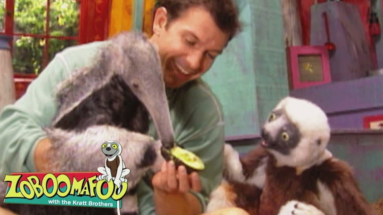 Anteater Eats Ants? Animal Defenses! | Zoboomafoo - WildBrain | Full Episode Compilation