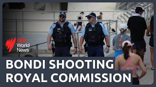 Bondi royal commission: Police face scrutiny over resources at Hanukah event
