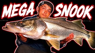 Catching Mega Snook!!Over 300 Inches of Fish!