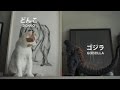 山よりどんこ #2【ひとり登山部LOG】