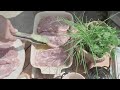 Knoblauch-Marinade ganz fix selbstgemacht!