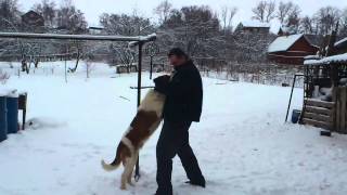 VE_20120106_040958.mp4