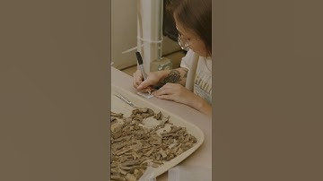 What happens to the artifacts?