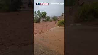 Heavy Rain Triggers Flooding In Goblin Valley State Park
FLASH FLOOD ‼️: Pool of water rushes through Goblin Valley State Park in Utah as heavy rain triggers flooding. A Flood Watch is in effect for portions of central and southern Utah through Monday evening.
Watch more FOX Weather videos: https://www.foxweather.com/video
We’ve got you covered! Whether you’re planning your morning commute or keeping a close eye on a severe storm, no one keeps you prepared like FOX Weather - the perfect resource to keep you safe and secure from whatever Mother Nature throws your way. FOX Weather, Weathering It Together!
Heres how you can stay safe with the FOX Weather app:
· Get alerts for dangerous weather in your area
· Stream our 24/7 live coverage with our hurricane experts
· Track storms in your area with the 3D mobile radar
Download for free on iOS and Android devices! Heavy Rain Triggers Flooding In Goblin Valley State Park