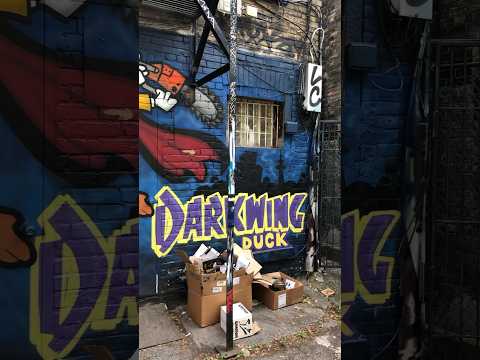 🎨 Dark Wing Duck 🦆 #streetart #graff #graffitiart #art #muralart #painting #bird #ducks