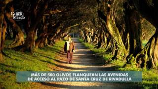EL PASEO DE LOS OLIVOS