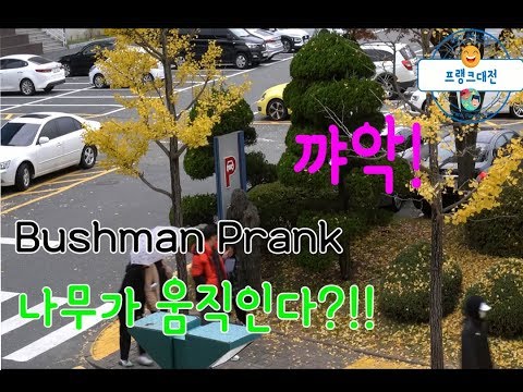 [몰래카메라]-부쉬맨-프랭크-3탄-나무가-움직인다?!!-bushman-prank-in-korea-(eng-cc)