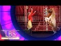 Meet Bella, The Incredible Circus Performer | Little Big Shots Australia