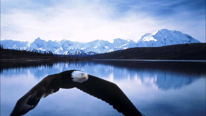 spread your wings - native american flute, guitar,...