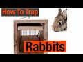 How to Trap Rabbits.