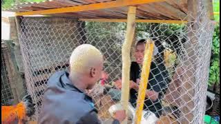 Download lagu Moloi yoo